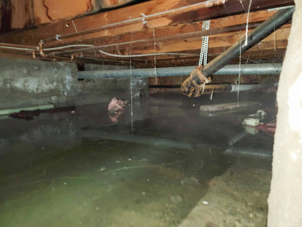 Best Fire Damage Restoration  in Lubeck, WV