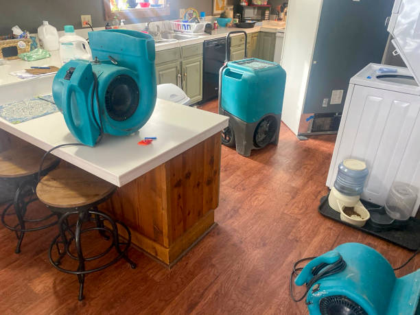 Best Carpet water damage restoration  in Lubeck, WV