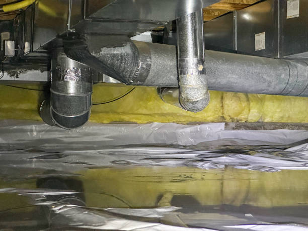 Best Ceiling water damage repair  in Lubeck, WV